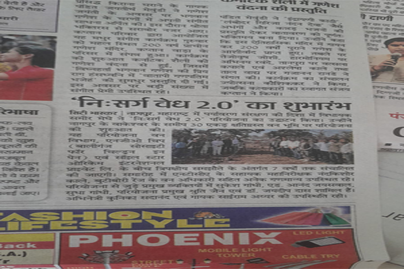 Media 2